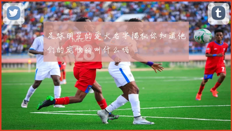 足球明星的爱犬名字揭秘你知道他们的宠物狗叫什么吗