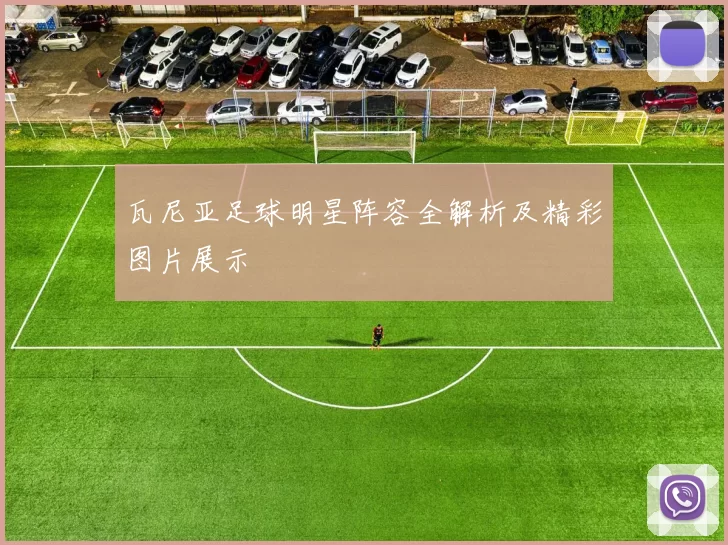 瓦尼亚足球明星阵容全解析及精彩图片展示