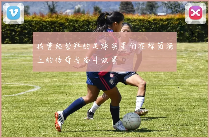 我曾经崇拜的足球明星们在绿茵场上的传奇与奋斗故事